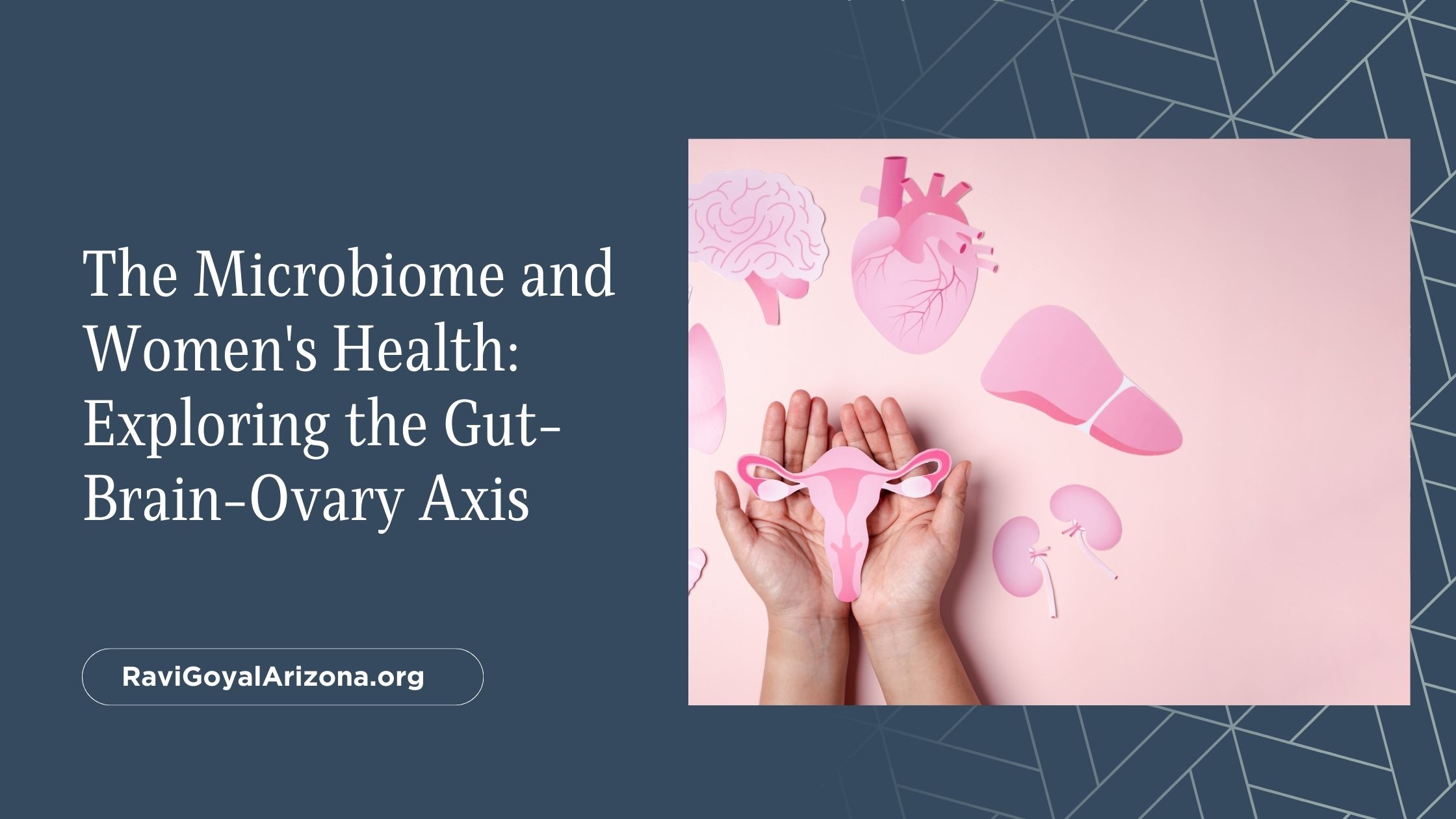 The Microbiome and Women’s Health: Exploring the Gut-Brain-Ovary Axis